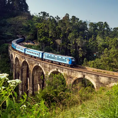 Sri Lanka turu, Demodara Nine Arch Bridge ve orman manzarası