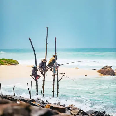 Sri Lanka turu, geleneksel çomak balık avı sahil manzarası