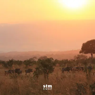 Zanzibar turu, Serengeti savannı ve vahşi yaşam manzarası