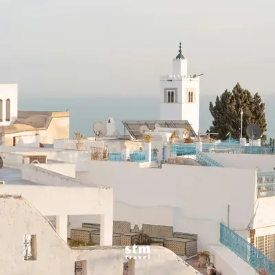 Tunus turu, Sidi Bou Saïd beyaz ve mavi mimarisi kıyı manzarası