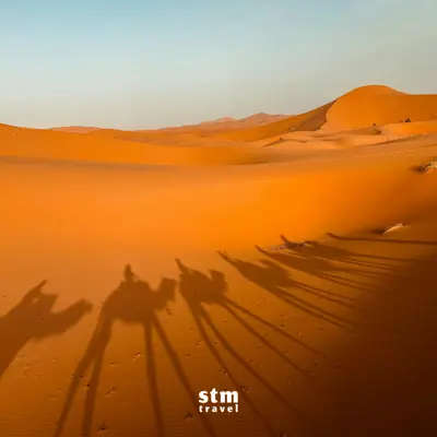 Mısır turu, Sahara Çölü deve kafilesi manzarası